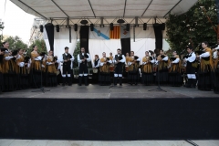 2015-Fiesta San Iago