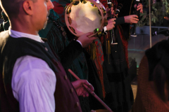 HospiFolk_2026-11