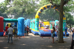 DSC03130