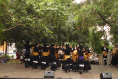 DSC03243