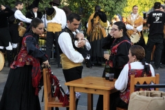 2013-Fiesta San Iago