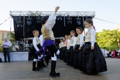 2014-Fiesta San Iago