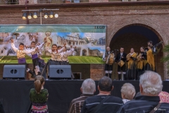 2014-San Froilan
