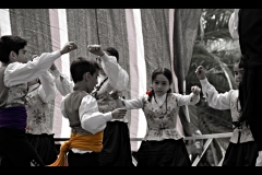 SONY DSC