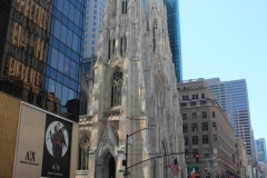IMG_0355