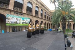 2019-San Froilan - Nou Barris