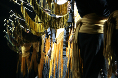 2007-CNunez